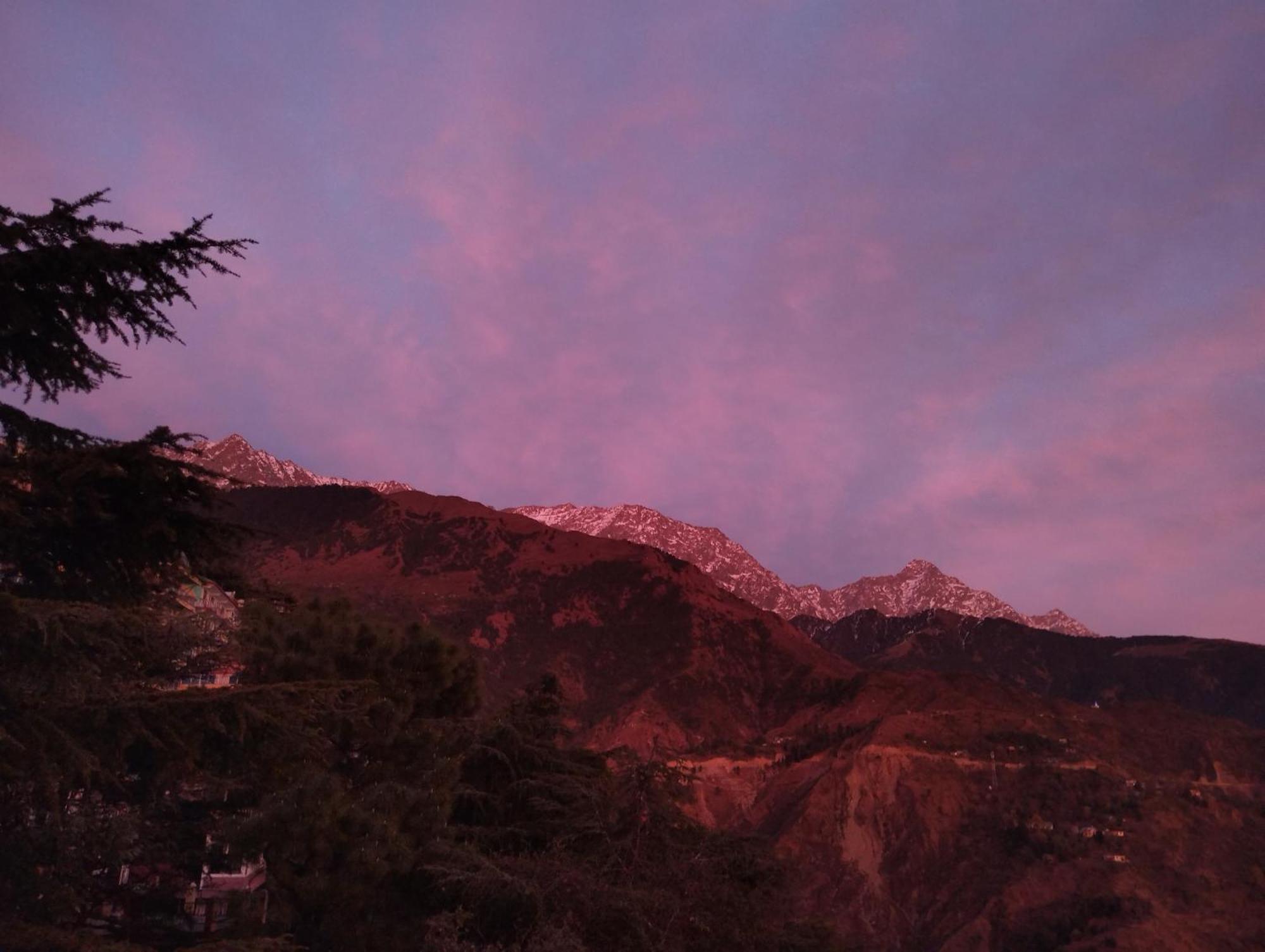 Verma Guest House Dharamshala Esterno foto